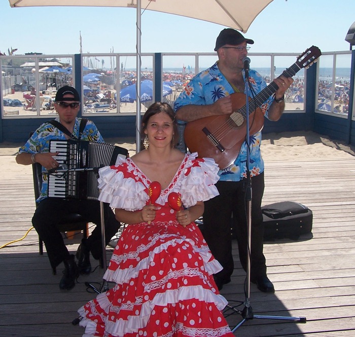 Themafeest spanje achtergrondmuziek